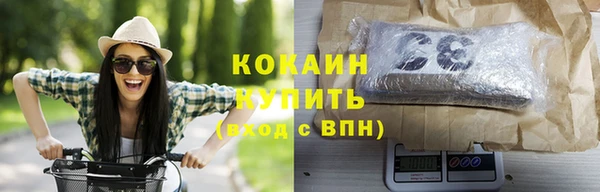 твердый Бородино
