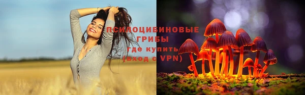 ECSTASY Бугульма