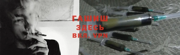 твердый Бородино