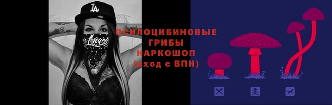 ECSTASY Бугульма