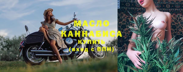 твердый Бородино