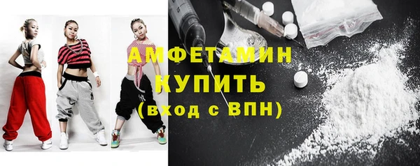 твердый Бородино