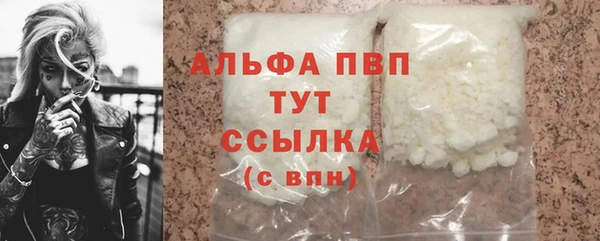 твердый Бородино