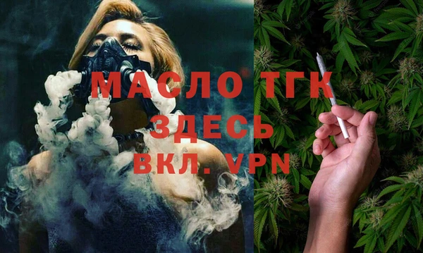 твердый Бородино